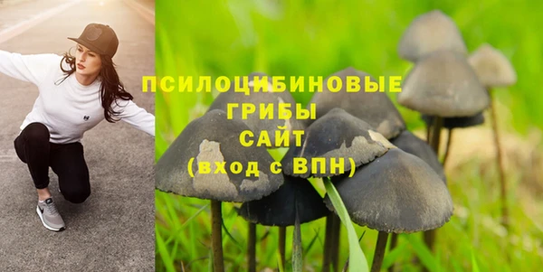 mix Ессентукская