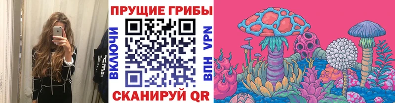 Псилоцибиновые грибы GOLDEN TEACHER  Сочи 